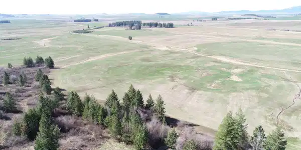 Image 3: DJI_0003
