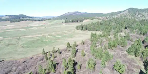 Image 4: DJI_0005