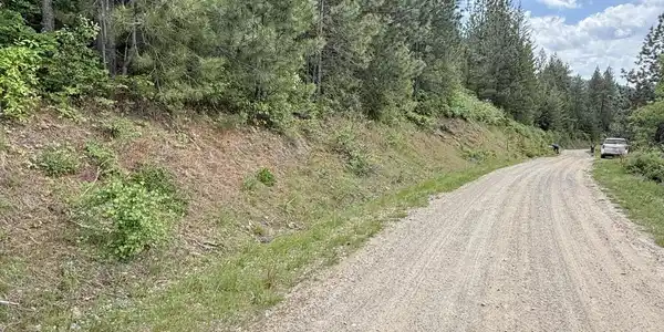 Image 4: Gravel Road through property