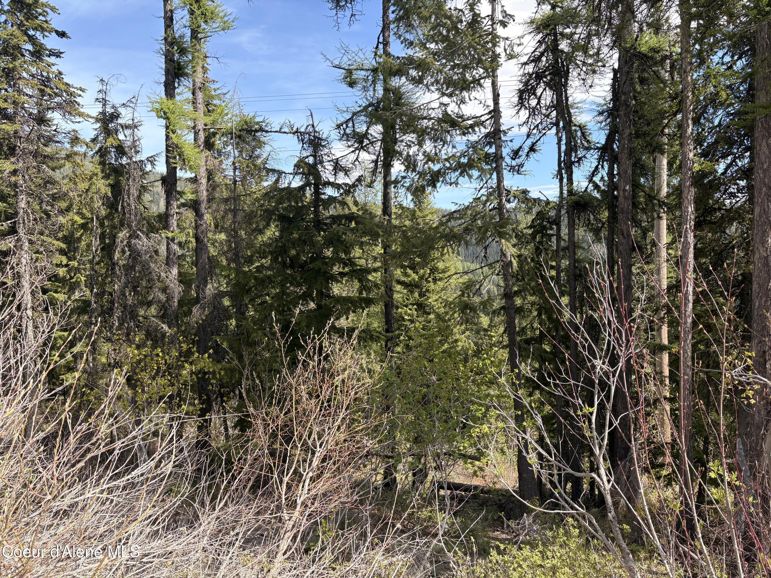 Image 4: View from Parallel Run Lot 10