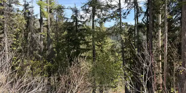 Image 4: View from Parallel Run Lot 10