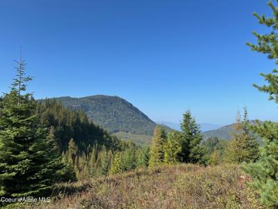 Tract 6 USFS 2294
