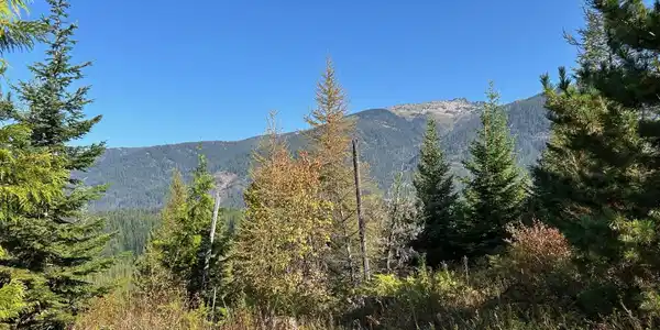 Image 2: 10
