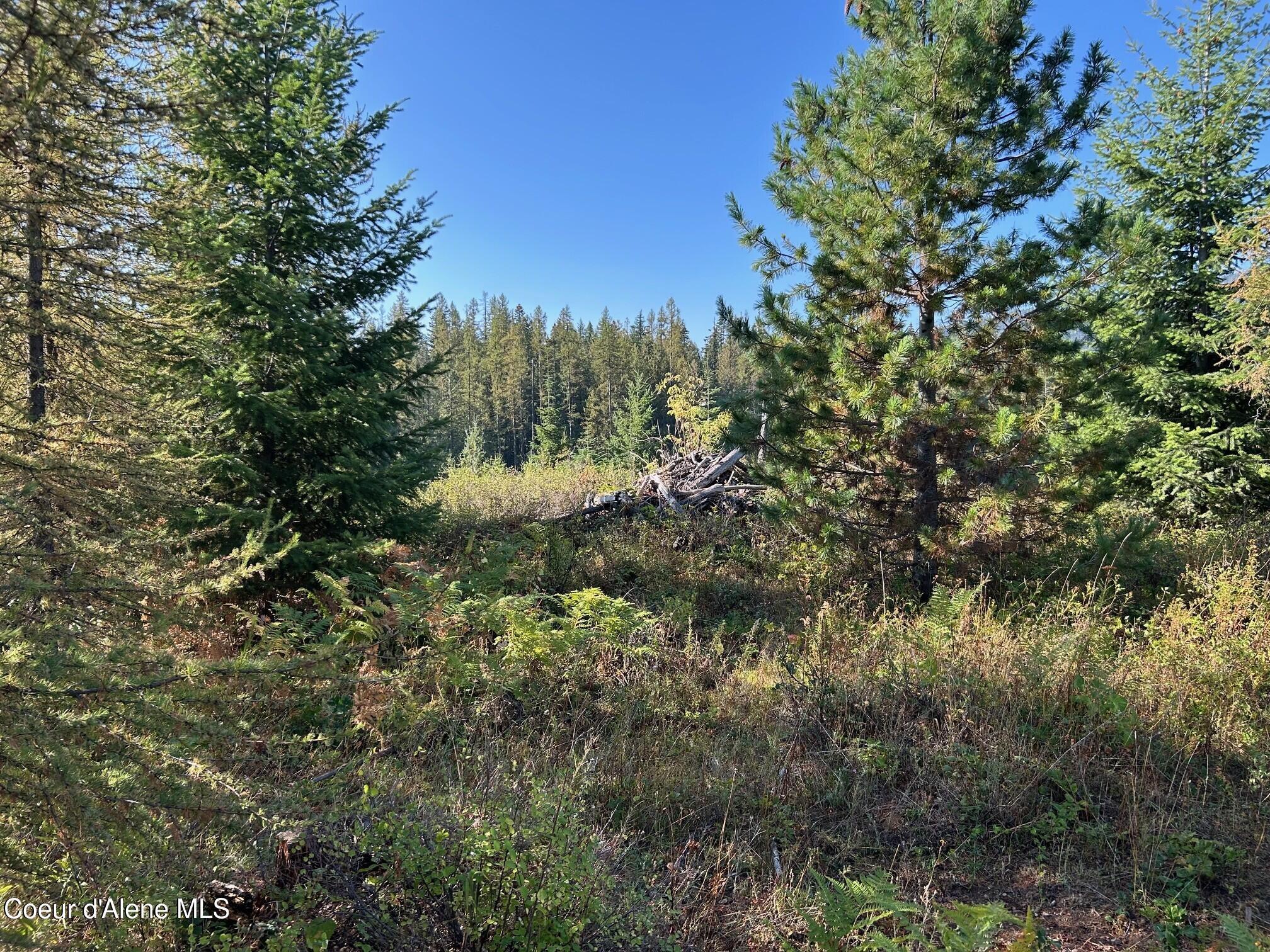 Image 4: 11