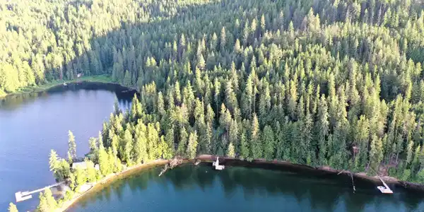Image 4: Aerial