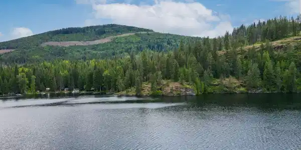 Image 2: 0_1621621517.0917_940751