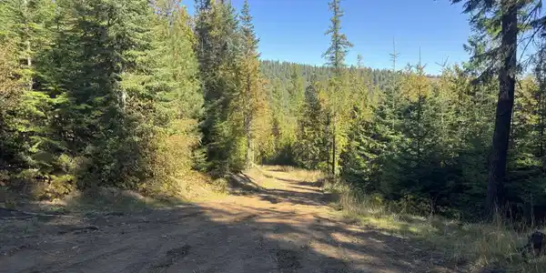 NNA Rustic Way South Lot 9 Way