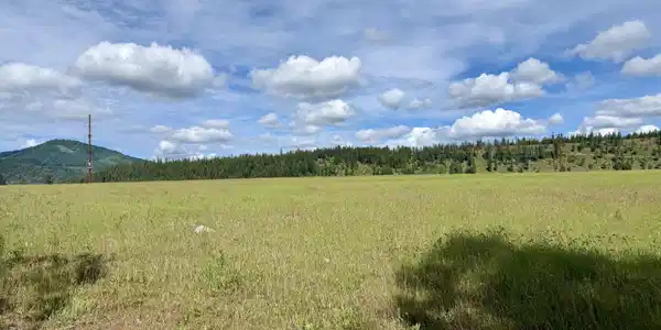 Image 4: 5 acres of usable land.