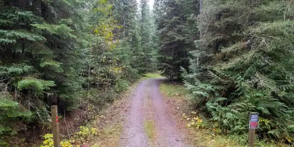 116 Trapper Creek Rd