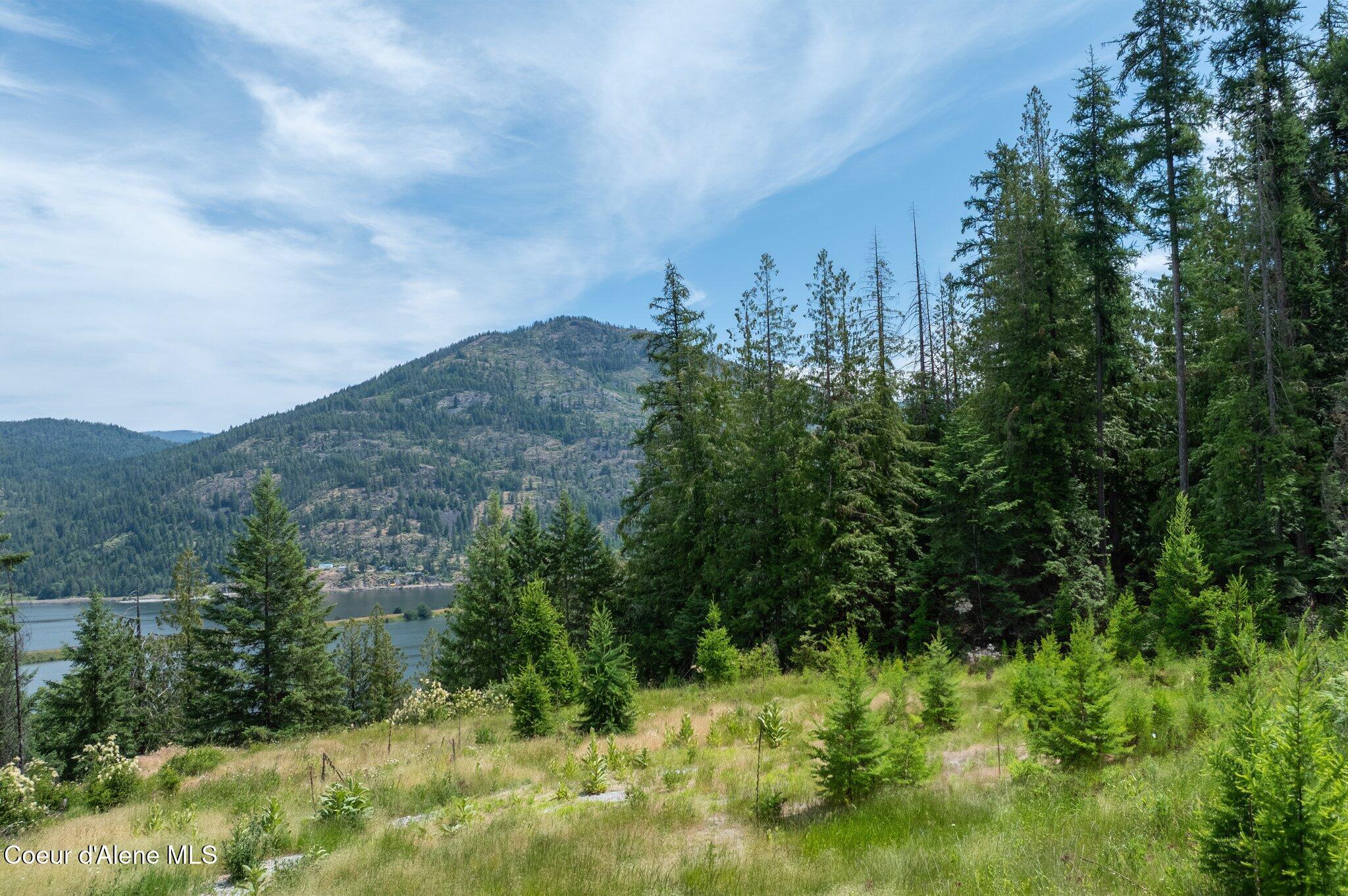 Image 1: RealVue - 2025 0620 - 161 Finch Trail-14