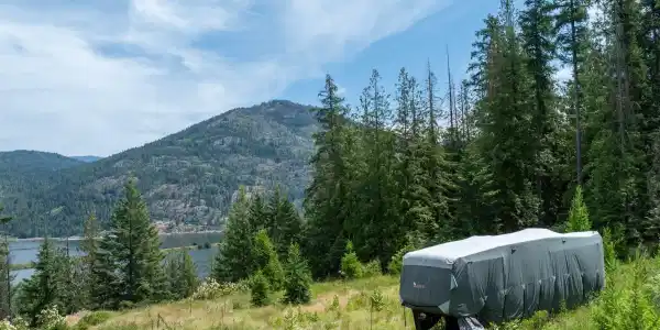 Image 2: RealVue - 2025 0620 - 161 Finch Trail-13