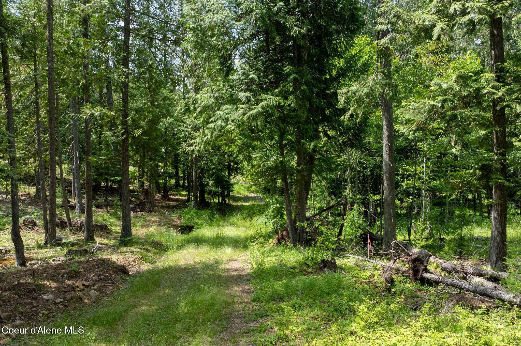 Image 4: RealVue - 2025 0620 - 161 Finch Trail-16
