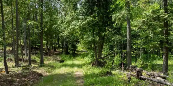 Image 4: RealVue - 2025 0620 - 161 Finch Trail-16