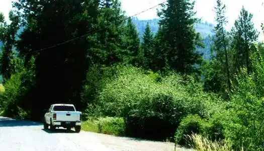 Image 2: 1