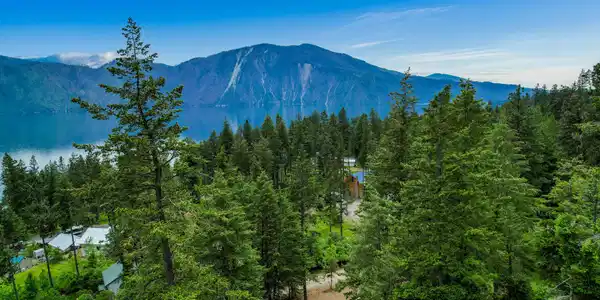 Image 4: DJI_0019 copy