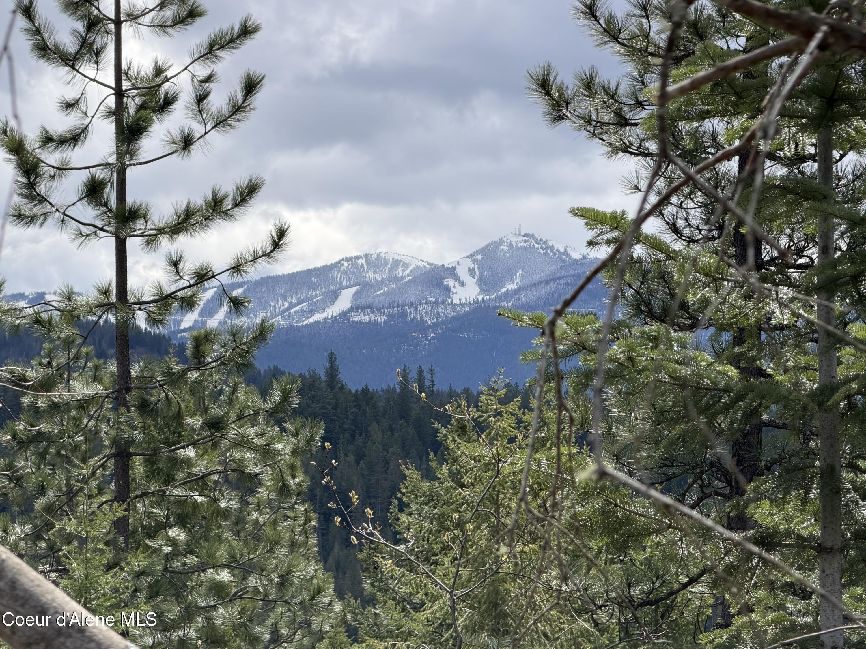 Image 2: IMG_0182