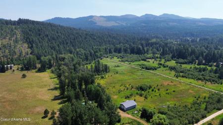 29 Red Alder RD