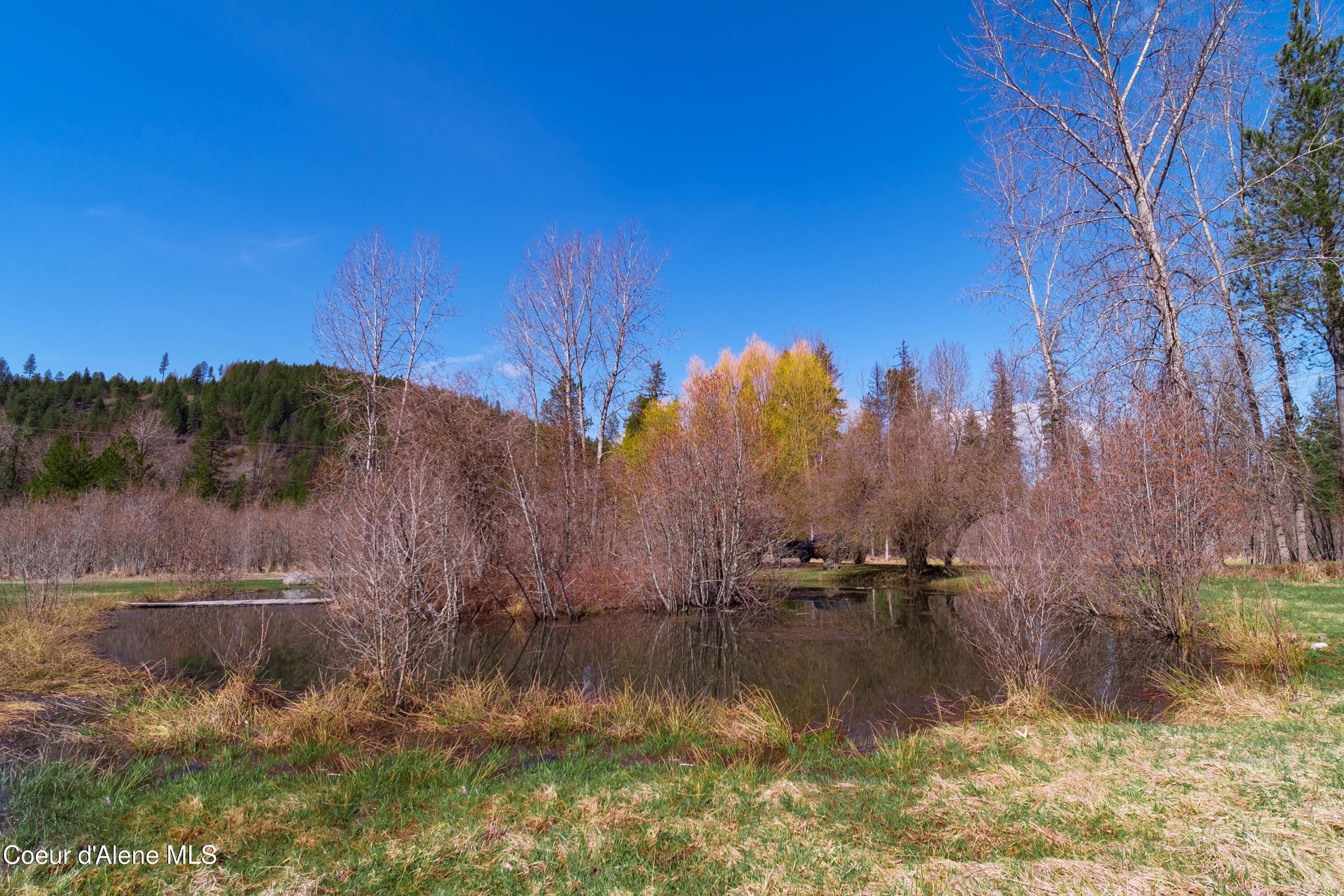 Image 4: Pond