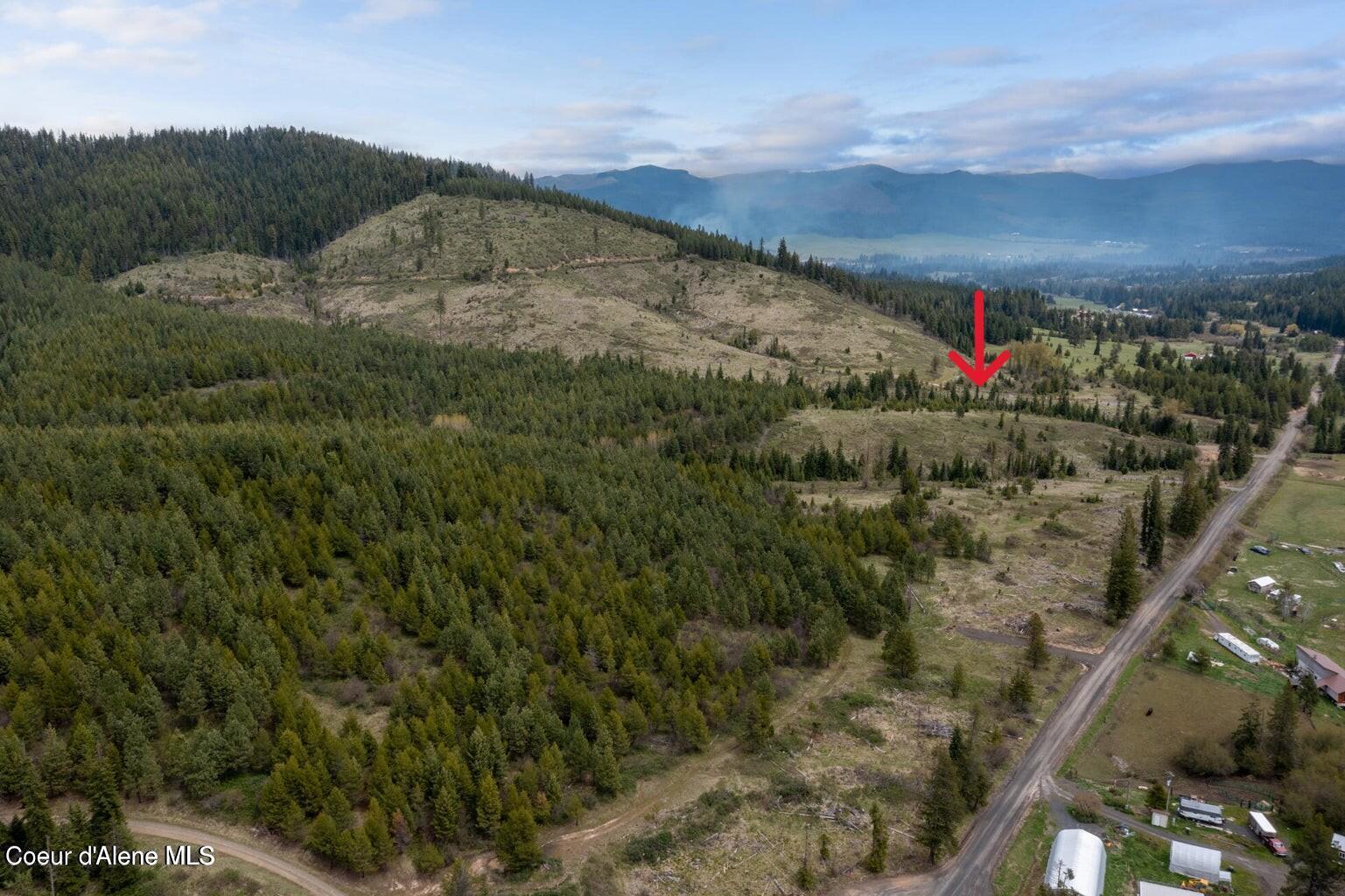 Image 4: Sheep Creek Parcel E Arrow