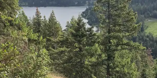 Image 4: 20260604_075031