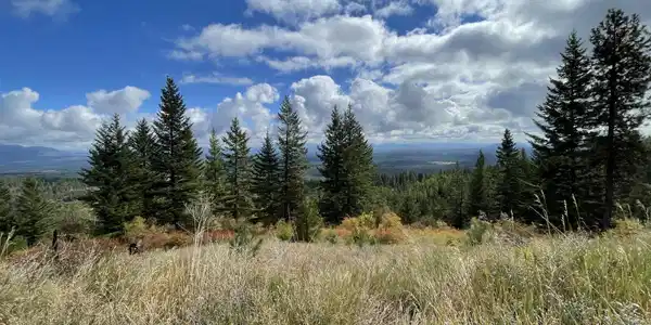 Image 2: 001
