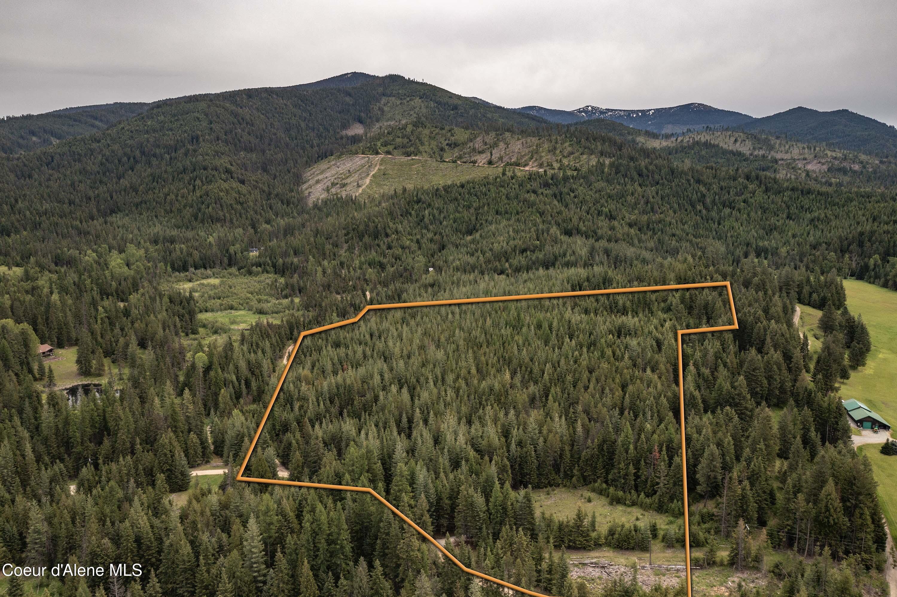 Image 2: 20 Acres