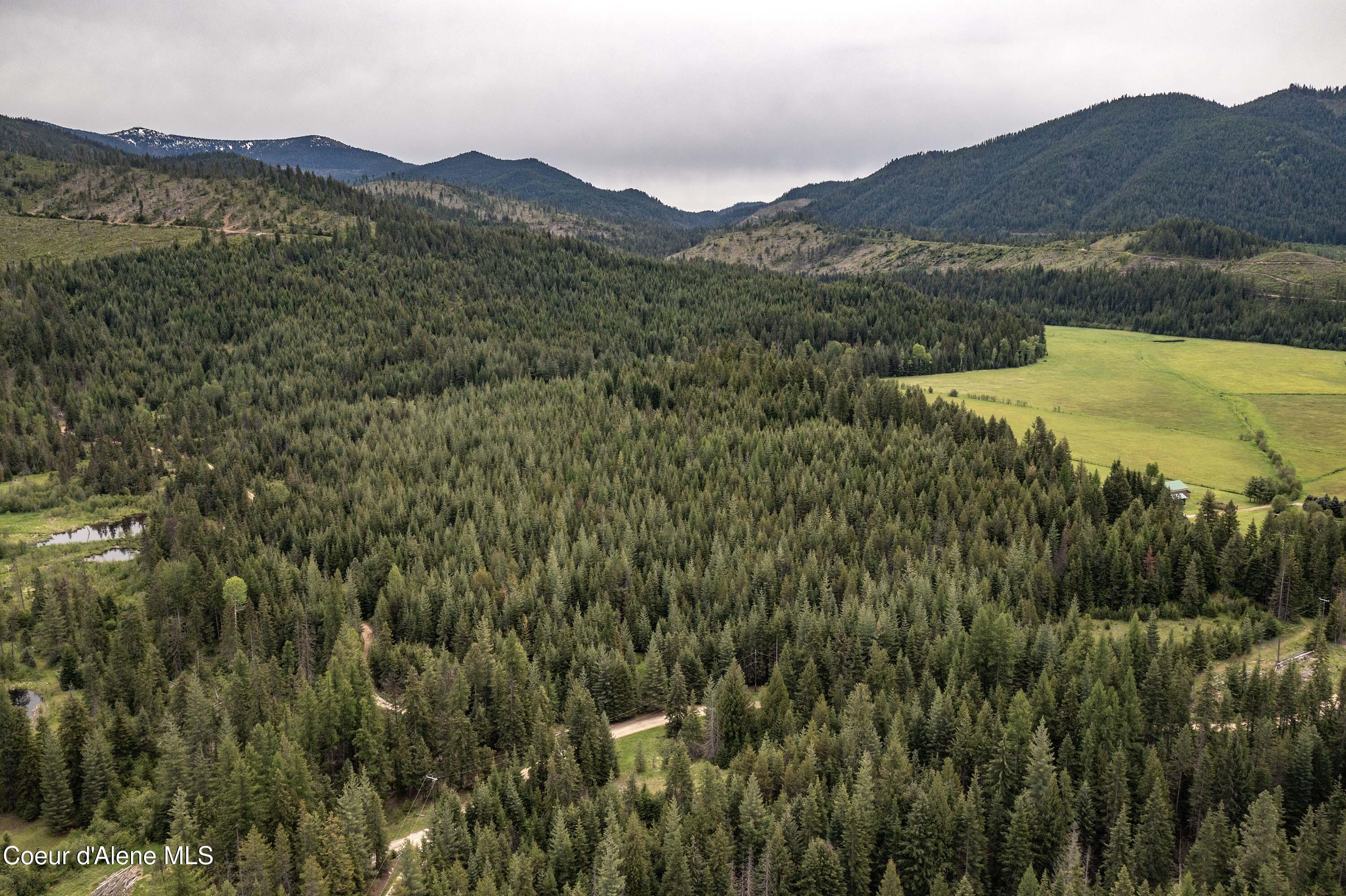 Image 3: 20 Acres