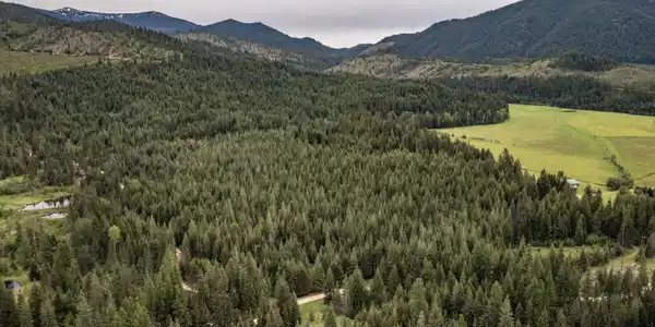 Image 3: 20 Acres