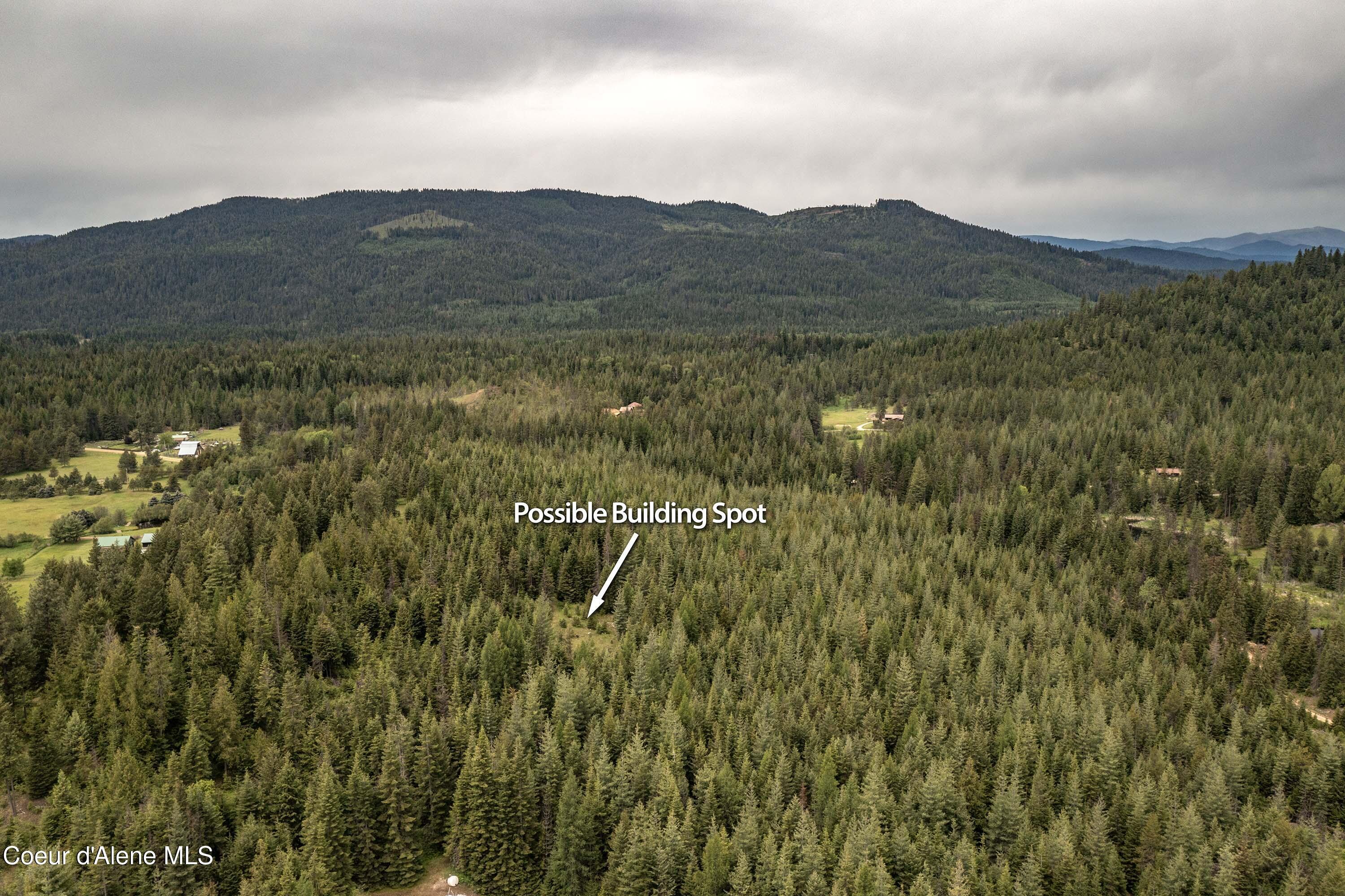Image 4: 20 Acres