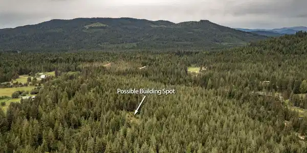 Image 4: 20 Acres