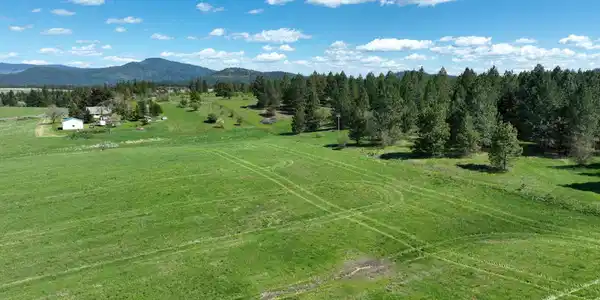 Image 3: DJI_0385x