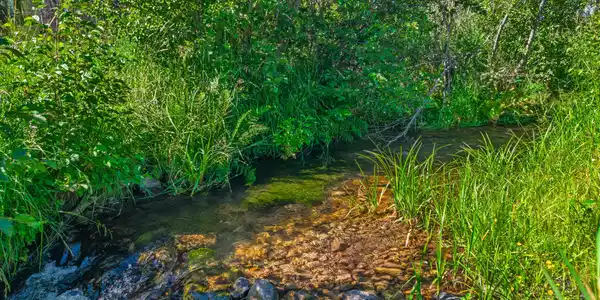 Image 3: Creek