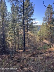 20.0acs French Gulch Rd