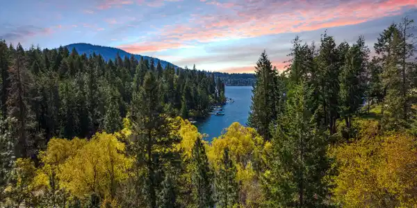 Image 2: DJI_20250430115108_0255_D