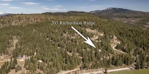 Image 3: Aerial 203 Richardson Ridge