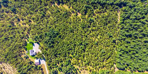 Image 2: 2_dji_20260820110852_0421_d