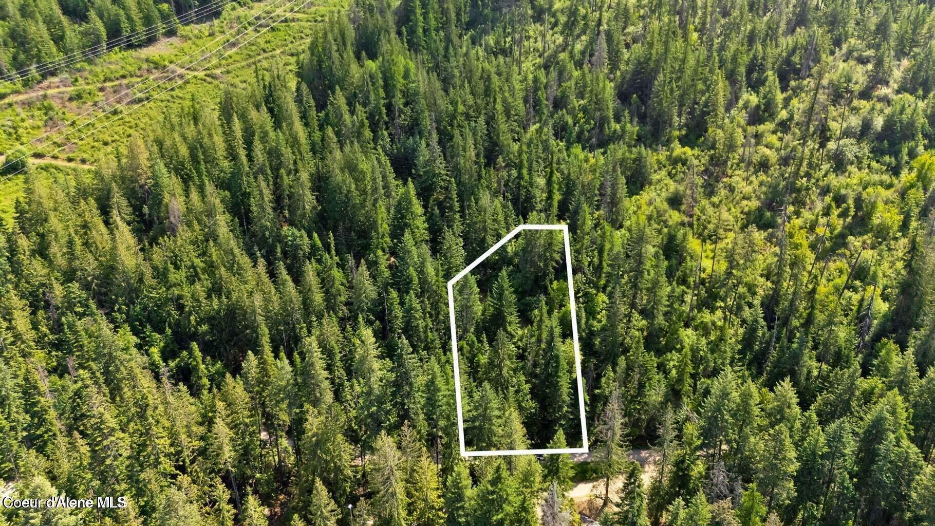 Image 3: Aerial