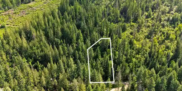 Image 3: Aerial