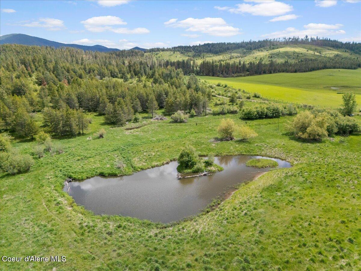 Image 3: 23 ft deep pond