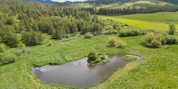 Image 3: 23 ft deep pond