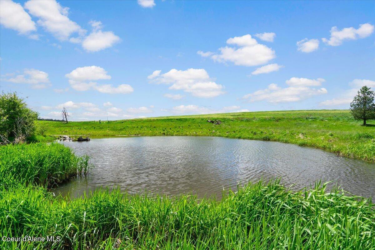 Image 4: Yr rd Pond Parcel 1