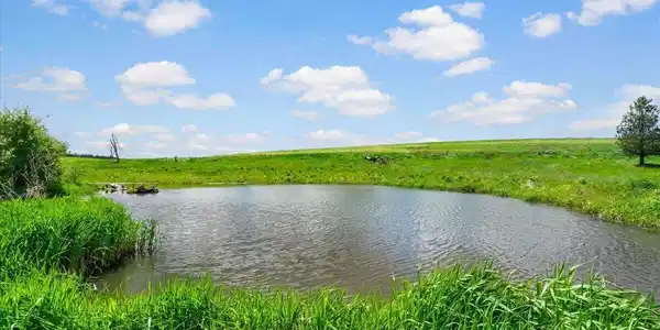 Image 4: Yr rd Pond Parcel 1