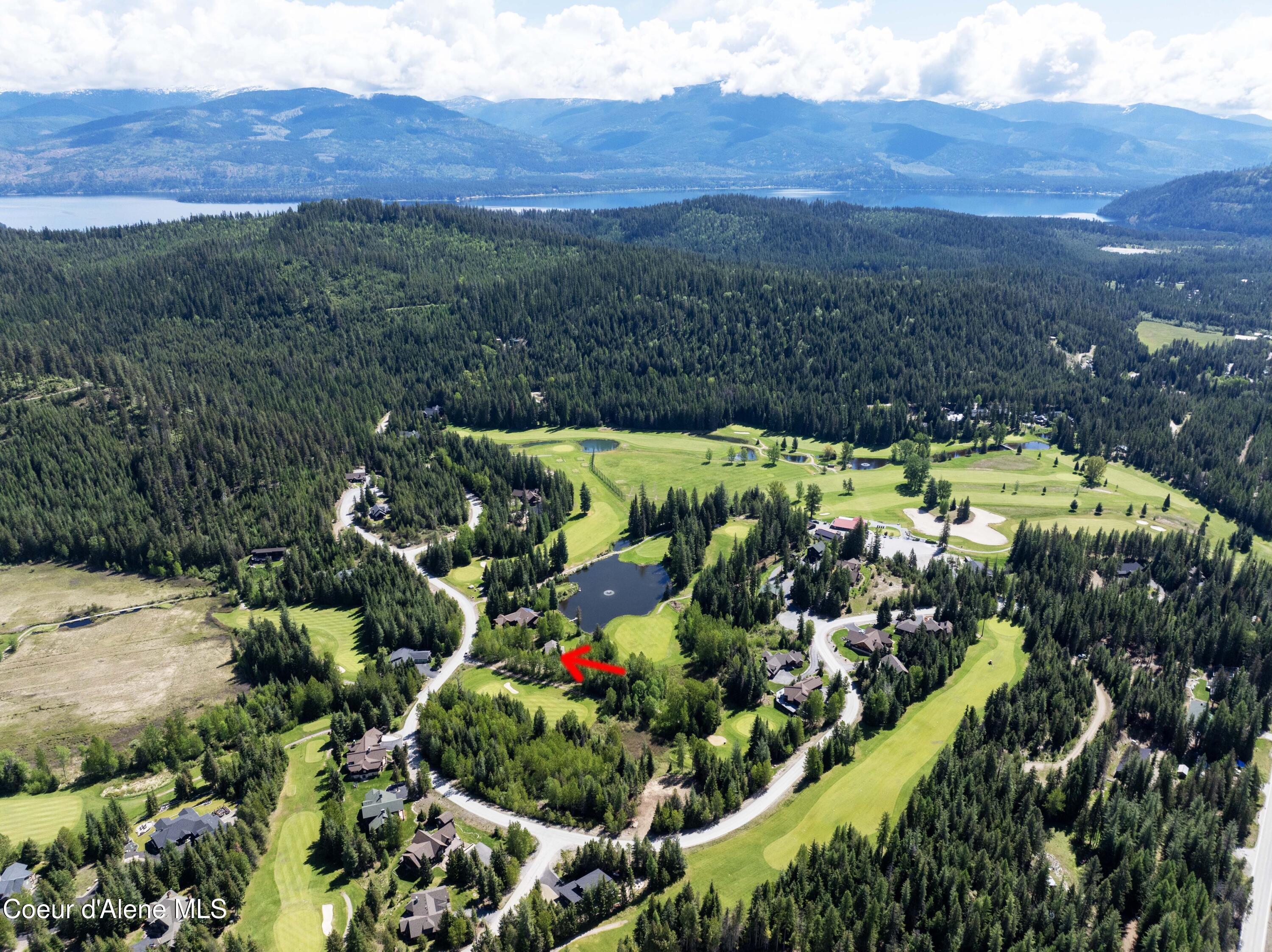 Image 2: DJI_0741 copy