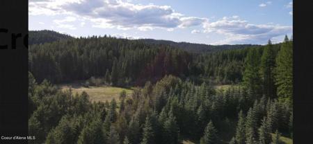 Quartz Creek RD