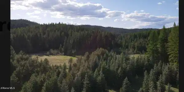 Quartz Creek RD