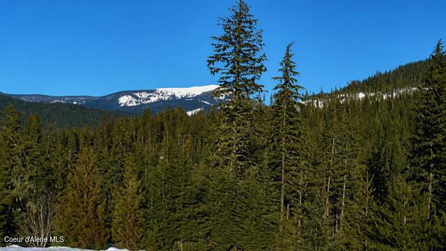 Image 3: 1000011981
