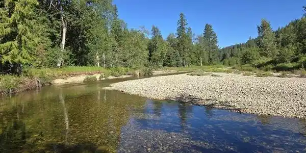 NNA Upper Pack River
