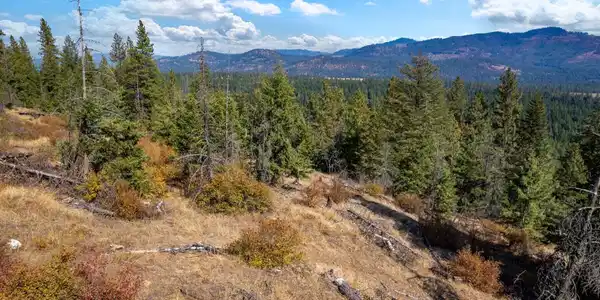 NNA Horn Mountain Rd
