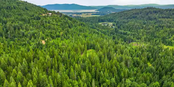 Image 2: 2_dji_0311