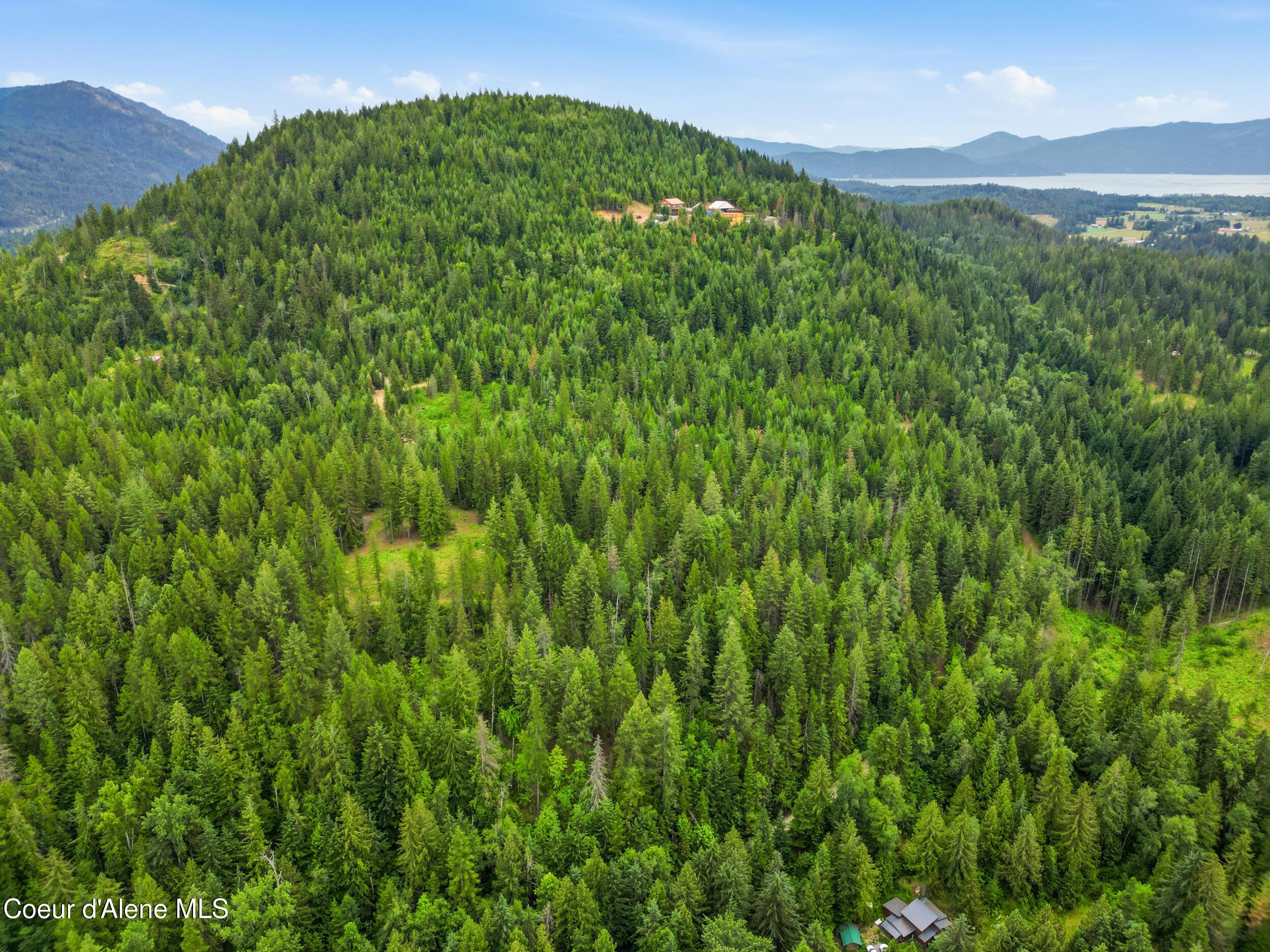 Image 3: 3_dji_0314